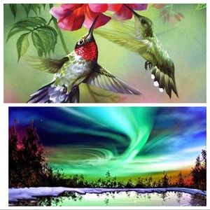 5/$25 2 New Painting with Diamonds kits Hummingbirds / Northern Lights 8” x 10”
